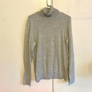 Express Merino Turtleneck